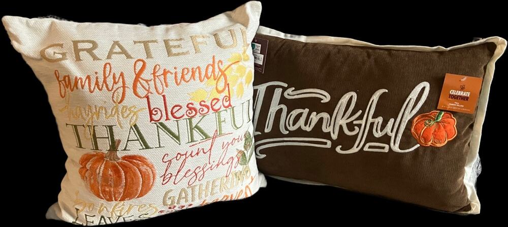 2 Celebrate Together Decorative Fall/Thanksging Stitched Pillows NWT